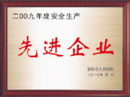 2009年度安全生產(chǎn)先進(jìn)企業(yè)